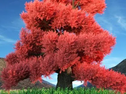 Daily Message & Reiki Flow - Flame Tree
