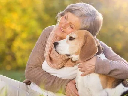 Daily Message & Reiki Flow - Heart Of Source