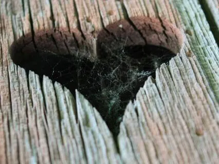 Daily Message & Reiki Flow - Higher Heart Activation