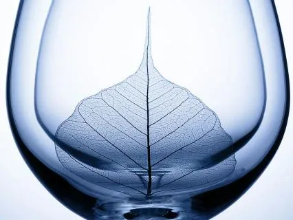 Daily Message & Reiki Flow - Holy Grail II