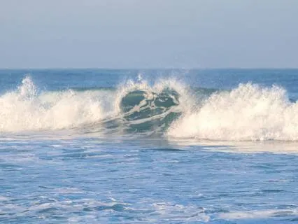 Daily Message & Reiki Flow - I Surge On The Wave Of Love II