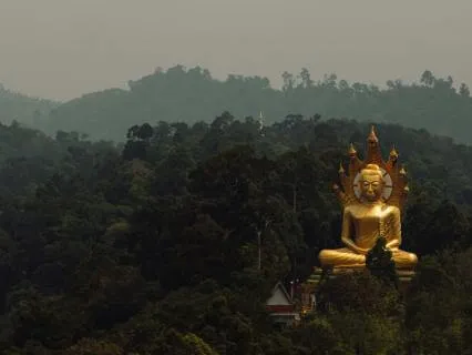 Daily Message & Reiki Flow - Karmic Board Clearing