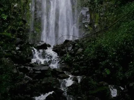 Daily Message & Reiki Flow - Lemurian Seed Codes II