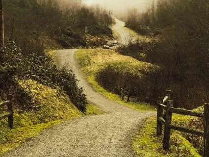 Daily Message & Reiki Flow - Many Paths