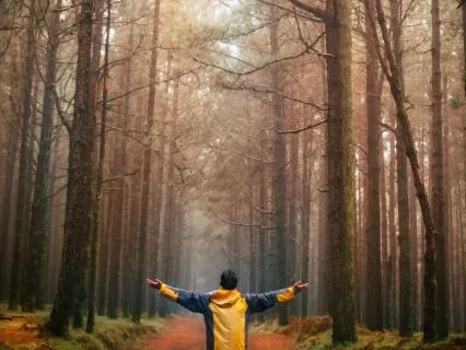 Daily Message & Reiki Flow - Surrender To The Divine