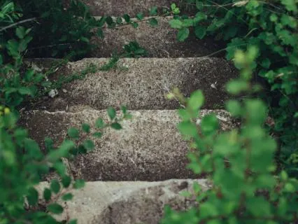 Daily Message & Reiki Flow - Take An Action Step