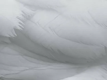 Daily Message & Reiki Flow - The Angel Of Razbar