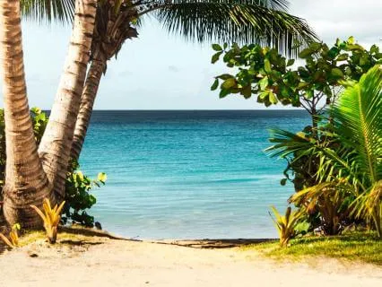 Daily Message & Reiki Flow - Treasure Island IV