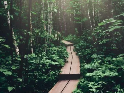 Daily Message & Reiki Flow - You, Who Show The Way IV