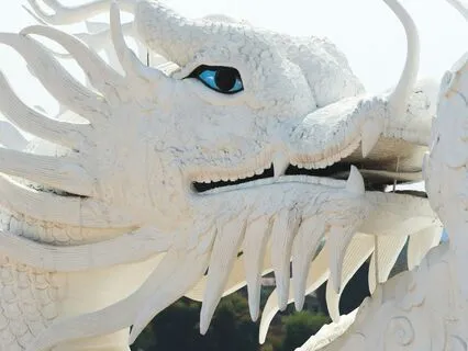 Daily Message: The Spirit Of Dragon