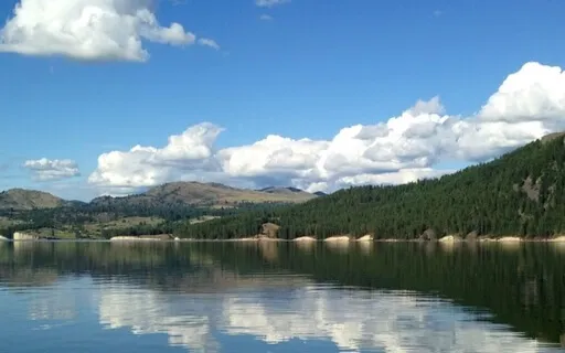 Daily Mindful Breath Break  