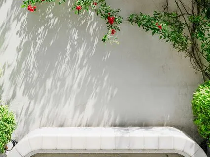 Daily Morning Meditation