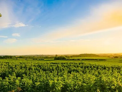 Daily Morning Meditation: Take It Easy On Yourself