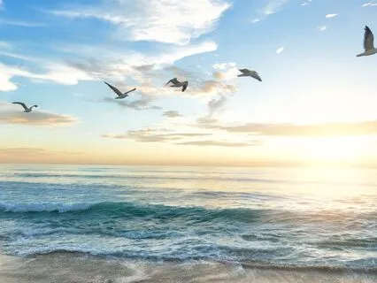 Daily Morning Meditation To Regain Focus & Clarity