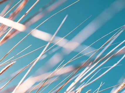 Daily Morning Motivation Guided Meditation (10 Minutes)