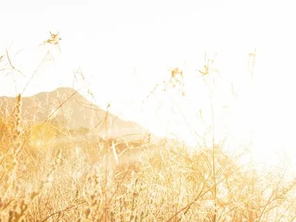 Daily Morning Refresher Meditation | 12-Mins