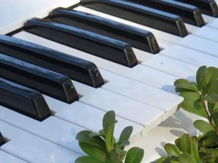 Daily Nervous System Reset (Piano in 432hz)
