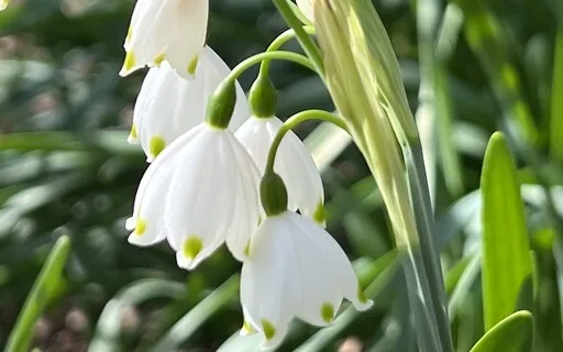 Daily Pagan Meditation To Attune You To Your Magick