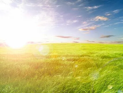 Daily Positive Affirmations