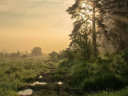 Daily Positive Morning Meditation