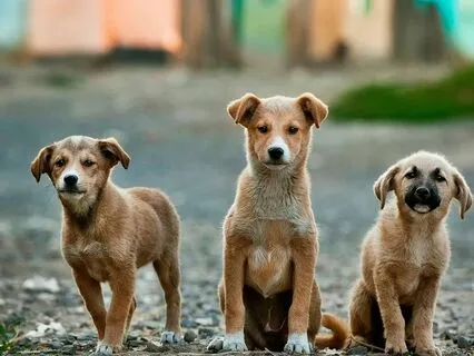 Daily Practice - 3 Things I’m Grateful For