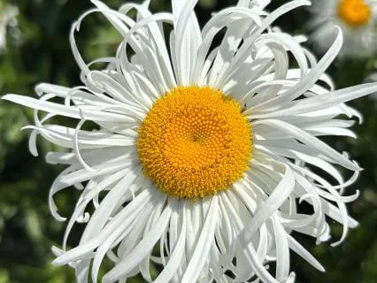 Daily Practice: 5 Minutes To Begin Your Day