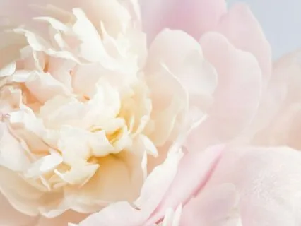 Daily Practice For Personal Protection