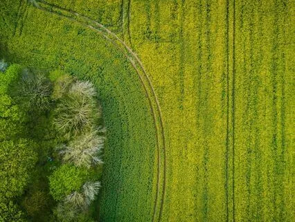 Daily Practice - Nervous System Reset