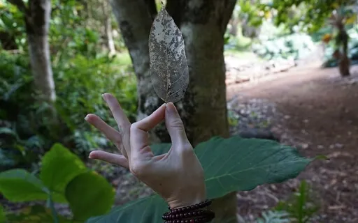 Daily Practice: Pranayama