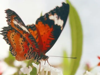 Daily Practice: Unity