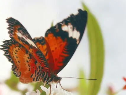 Daily Practice: Welcoming Changes