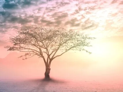 Daily Prayer For Safety Security To Loved Ones And Beyond