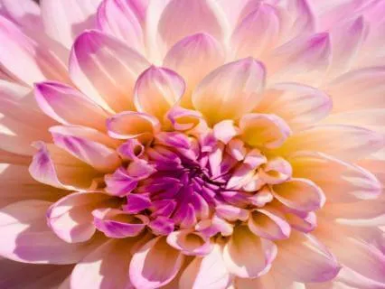 Daily Prayer For Women Learning To Choose Themselves