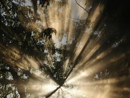 Daily Presentations Of Enlightenment