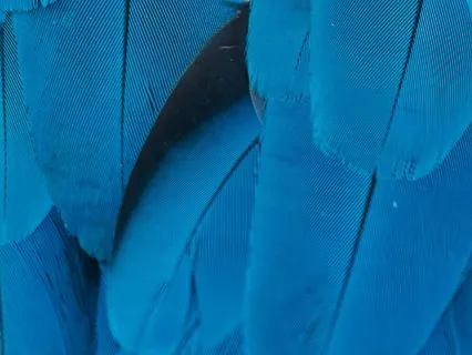 Daily Reading -29 Selathiel