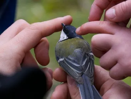 Daily Reading - 36 Archangel Christiel