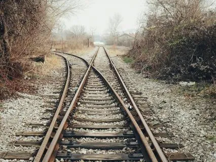 Daily Reading - Akashic Stargate II