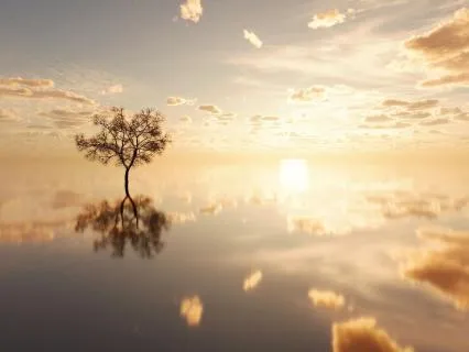 Daily Reading - Ancestral Messages