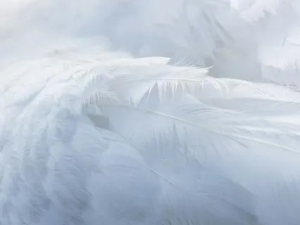 Daily Reading - Angel Of Razbar