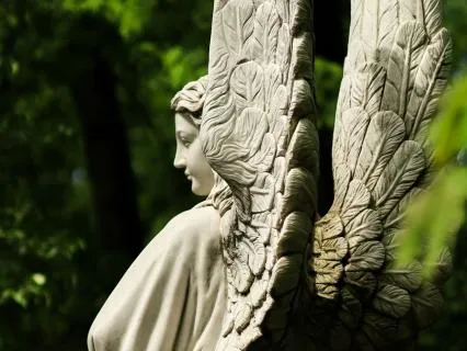 Daily Reading - Angelic Frequency II