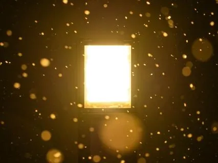 Daily Reading - Arcturian Light Codes