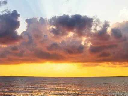 Daily Reading - Beauty Way