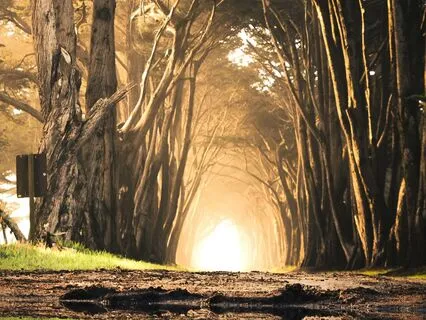 Daily Reading - Chamber Of Inspiration