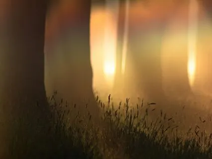 Daily Reading - Chamber Of Soul Gifts