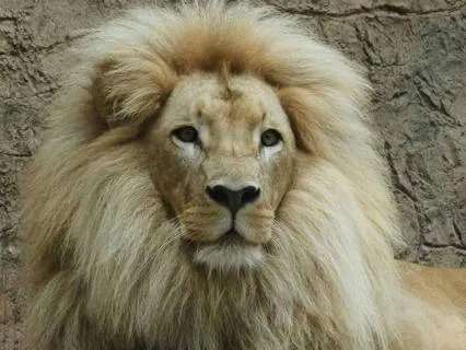 Daily Reading - Don't Let Pride Get In Your Way