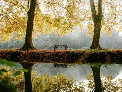 Daily Reading - Double Message - Hearth & Autumn