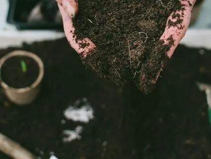 Daily Reading - Earthworm III - Clarity, Rumination