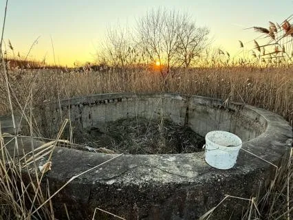 Daily Reading - Empty Well