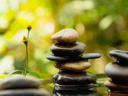 Daily Reading - Evolution