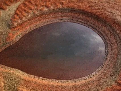 Daily Reading - Eye Of Horus Protection